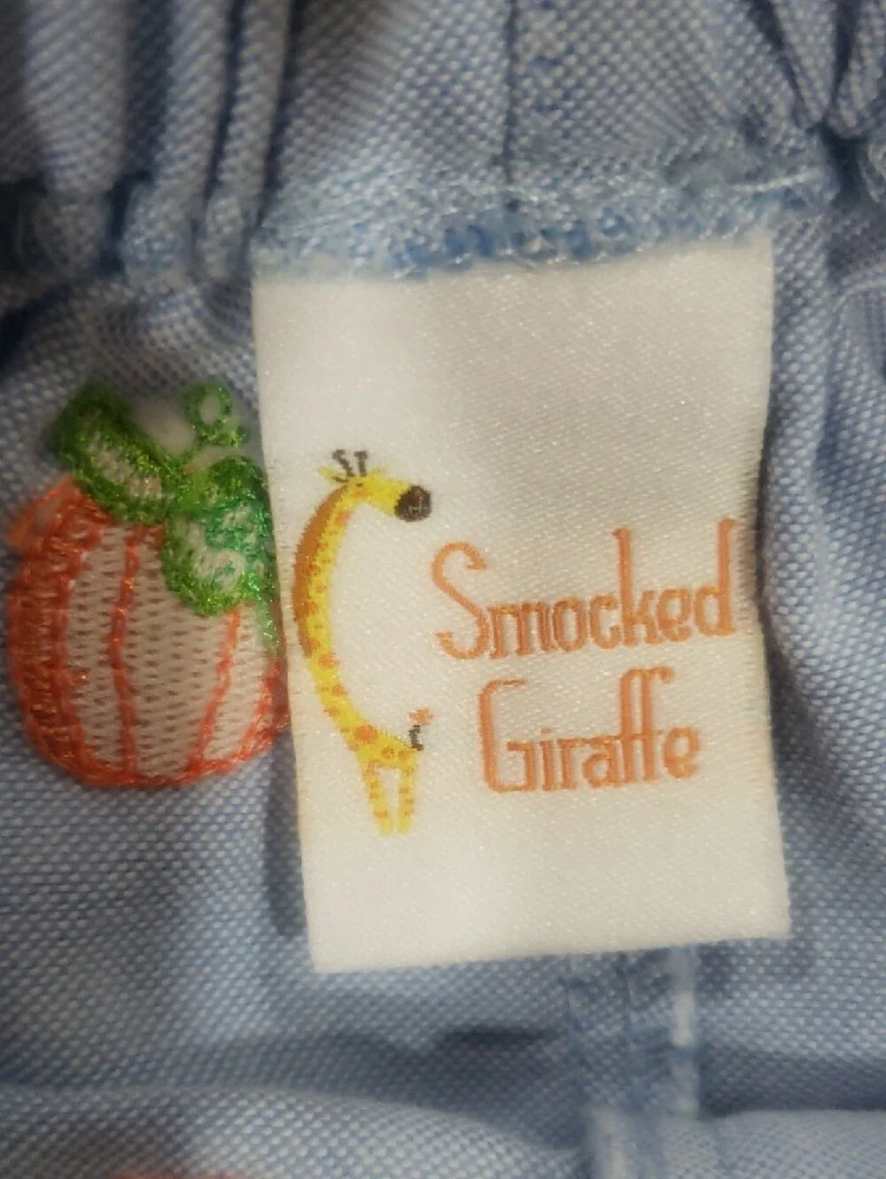 4T Boys Light Blue Pants with Orange Embroidered Fruit